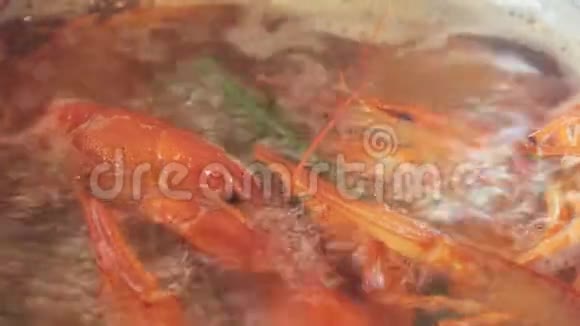 沸水中的红小龙虾视频的预览图