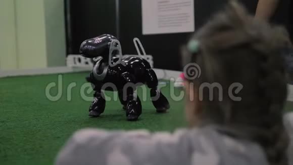 女孩看着编程玩具狗机器人互动智能宠物视频的预览图