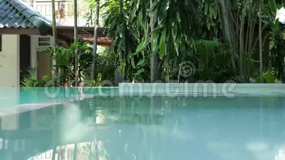 泳池水特写热带的酒店游泳池豪华酒店游泳池视频的预览图