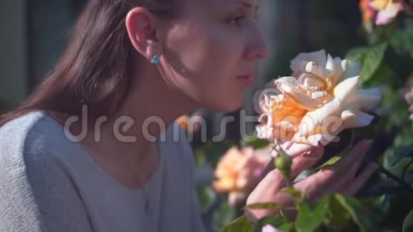 女人轻轻地抚摸和嗅桃玫瑰一个美丽的女人和巨大的桃香玫瑰视频的预览图