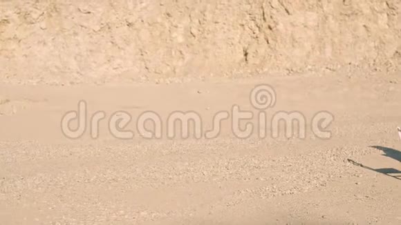 白色的钢琴和白色的椅子站在黄沙上映衬着岩石超真实的情节空中景观视频的预览图