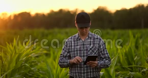 镜头耀斑农民用数字平板电脑种植大豆作物现代技术应用视频的预览图
