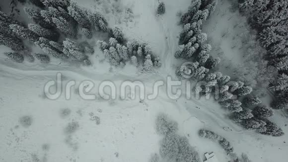 山里的冬林覆盖着新鲜的雪一群人沿着小径散步视频的预览图