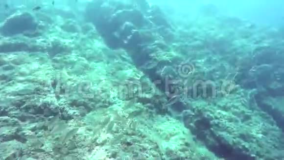 科斯塔布拉瓦的水下海景西班牙视频的预览图