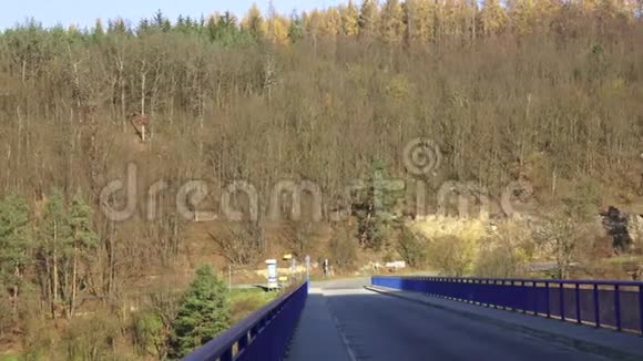 森林里的蓝桥视频的预览图