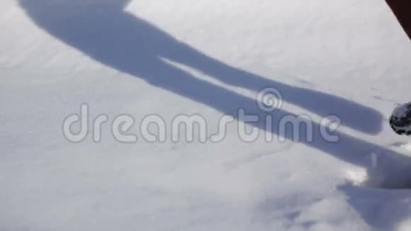 在雪地里行走视频的预览图