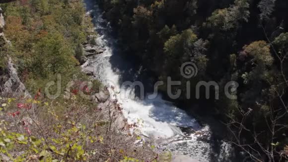 佐治亚州塔卢拉峡6K塔卢拉河流经塔卢拉峡的景色视频的预览图