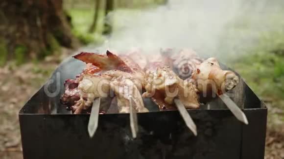 烤串上的鸡块在明火上燃烧着一个人为了省吃俭用从曼格尔身上取下了烤串视频的预览图