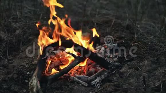 壁炉里有篝火视频的预览图
