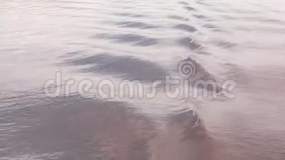 黄昏时湄公河上的船引起的涟漪视频的预览图