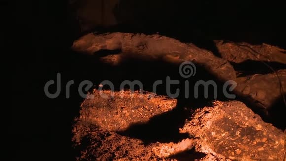 九龙铁姆浦隆带吊植物根洞壁视频的预览图