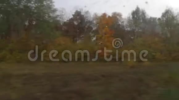 秋季郊区火车移动窗口的视野视频的预览图