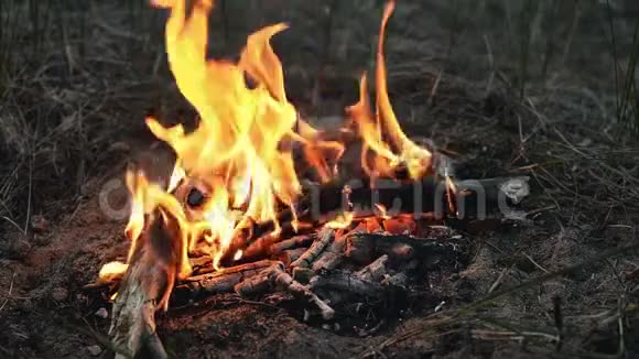 壁炉里有篝火视频的预览图