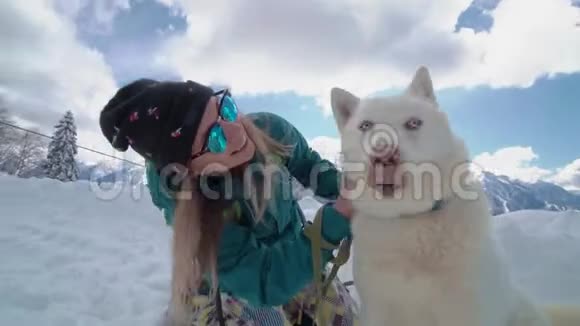 滑雪场娱乐活动朋友们在滑雪场玩得很开心金发爱抚西伯利亚哈士奇的年轻女孩视频的预览图