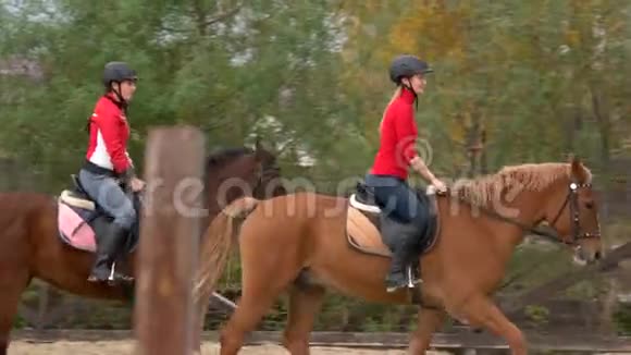 骑在马背上的骑师视频的预览图