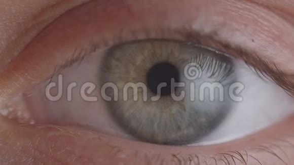 绿色眼睛闪烁的特写镜头缩小了瞳孔视频的预览图