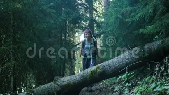 年轻的女游客背着背包踏过森林中一棵倒下的树微笑着视频的预览图