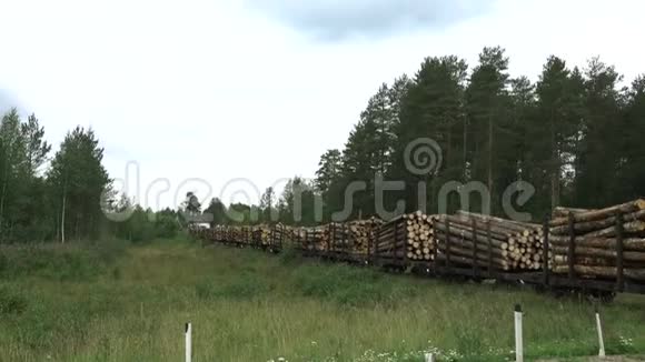 火车用木材把汽车从森林拉到锯木厂视频的预览图