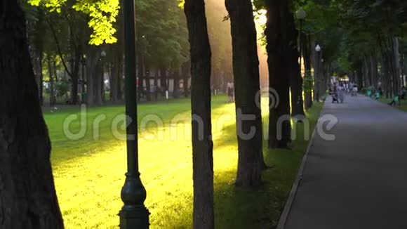 无法辨认的人在公共城市公园散步夏天的傍晚太阳豆耀斑视频的预览图