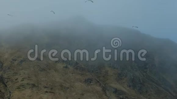 美丽的山雾峰和飞鸟慢动作视频的预览图
