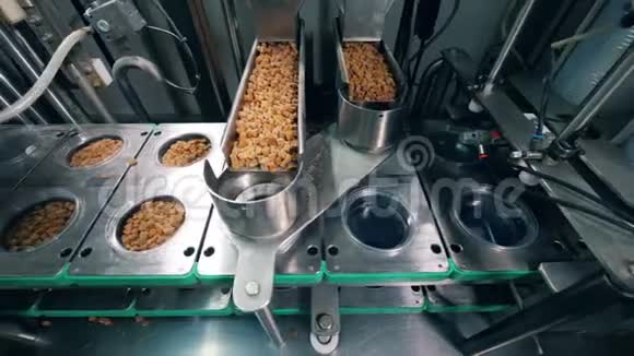 塑料板被机械地装满了面包屑食品工厂设备视频的预览图