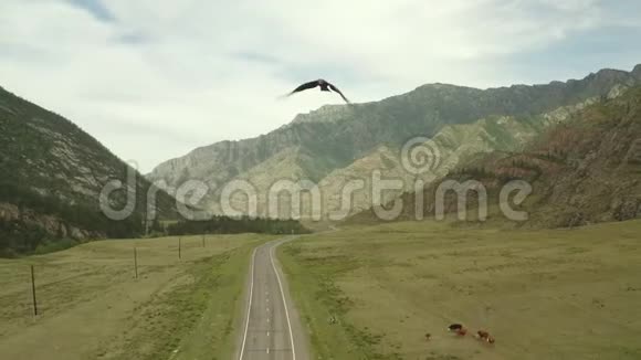 在夏日的背景下在带有山脉的乡村道路上鸟瞰风景大道飞鹰飞过视频的预览图