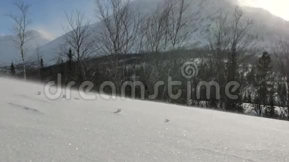 风吹起雪堆雪花在雪盖上飞舞视频的预览图
