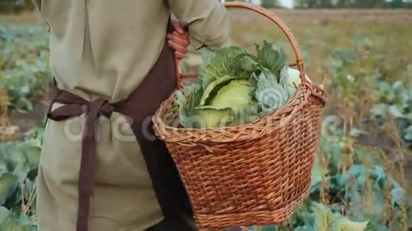女农在田里提着一篮子白菜视频的预览图