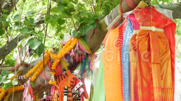 在祭坛附近的树上五颜六色的供物衣服一束鲜艳的传统服装作为泰国烈酒的礼物视频的预览图