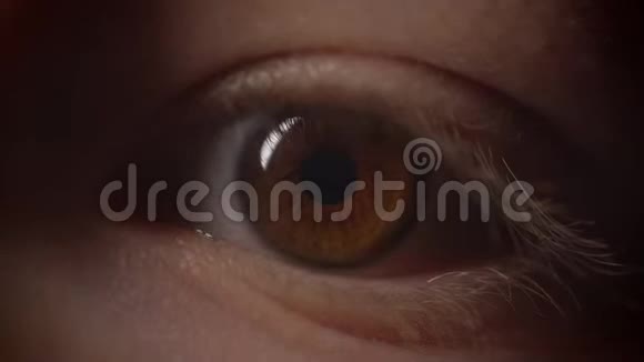 绿眼瞳孔的特写镜头随着光照的变化而缩小和扩大视频的预览图