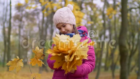 抱着秋叶花束的孩童画像视频的预览图