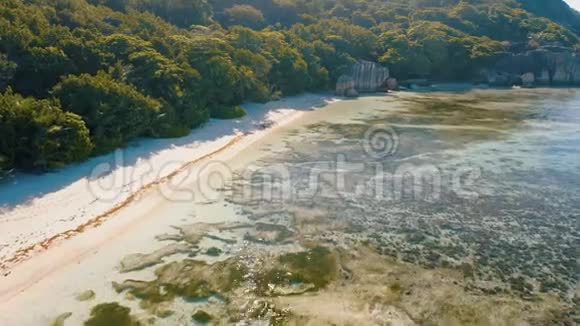 AnseSourceD阿根廷航空视野4k飞行以上热带海滩上的拉迪盖岛塞舌尔早期的宁静场景视频的预览图