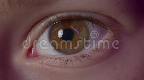 白种人眼睛眨着棕色眼睛的特写镜头有着聚光灯的倒影视频的预览图