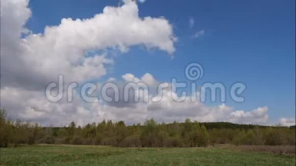 在一个阳光明媚的夏日在绿色的森林和蓝天上形成的白云的时间流逝视频的预览图