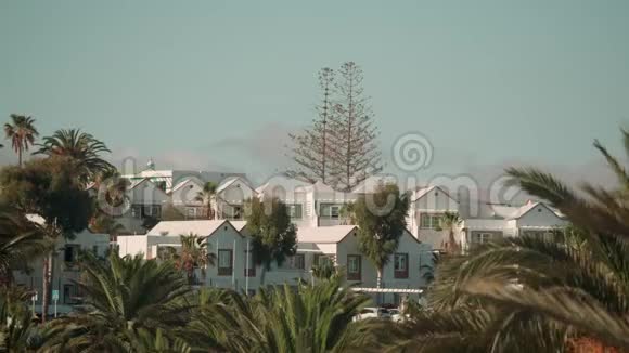 茂密的棕榈树之间的白色房屋视频的预览图