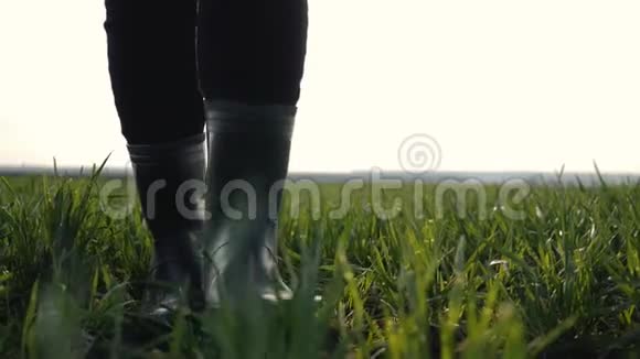 在夕阳的照耀下女农民穿着橡胶靴在绿色的田野上行走农业耕作视频的预览图