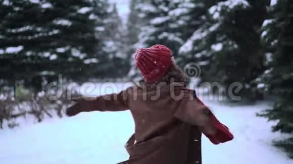 穿着针织红帽子和围巾的年轻漂亮女人在公园里享受和下雪冬季视频的预览图