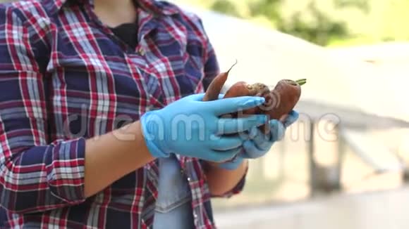 戴着蓝色手套的女人在花园里抱着胡萝卜视频的预览图