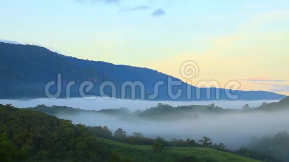 雾在黎明时穿过山谷泰国高耀国家公园视频的预览图