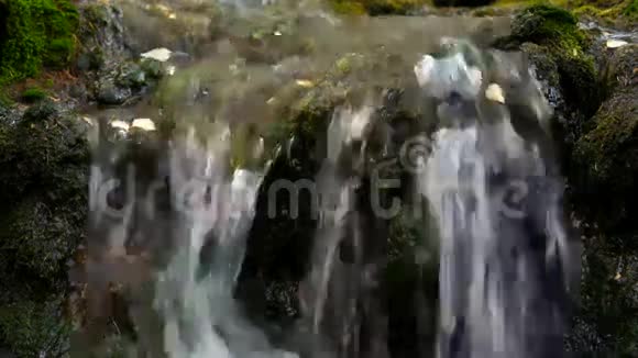 溪流视频的预览图