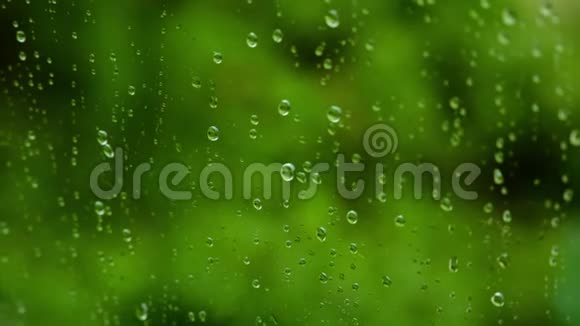 窗玻璃特写上的雨点一个夏天雨水顺着玻璃流下来绿色背景4K视频的预览图