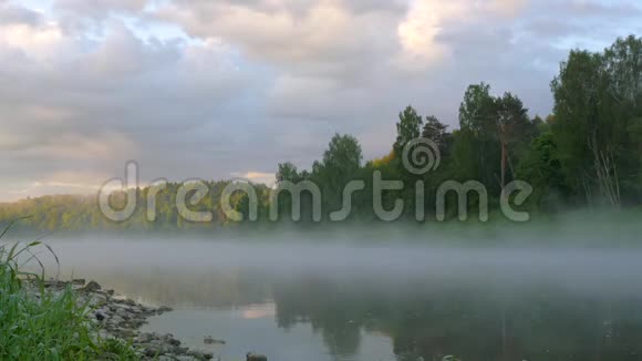 清晨浓雾弥漫在河上在黎明的时候视频的预览图