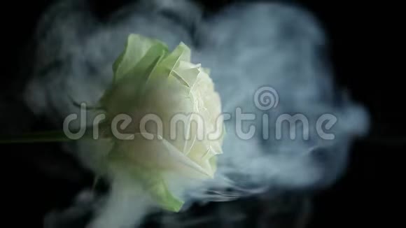 玫瑰花烟雾暗背景高清镜头视频的预览图