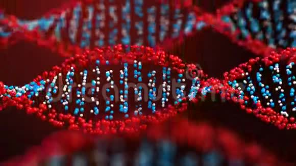 旋转DNA螺旋视频的预览图