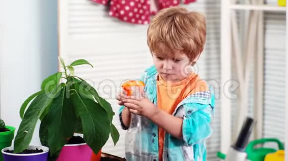 男孩在花盆里喷花春天的概念自然与关怀小孩爱护植物种花生长植物视频的预览图