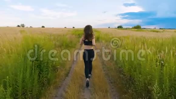 有魅力的年轻女子运动员在乡村慢跑锻炼享受健康的健身生活方式女运动员视频的预览图