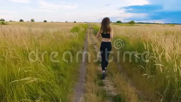 有魅力的年轻女子运动员在乡村慢跑锻炼享受健康的健身生活方式女运动员视频的预览图
