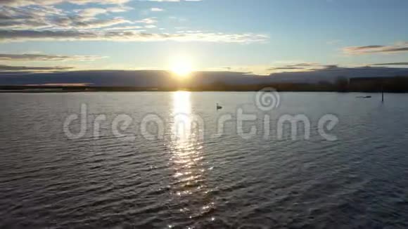 黄昏的天鹅在亚马尔的冻土带的一个湖上漂浮视频的预览图