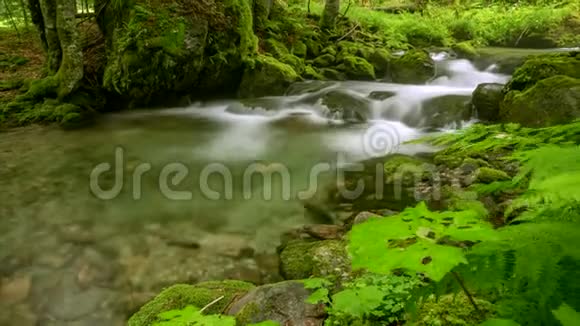 山溪在岩石之间视频的预览图