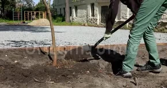 作物工人在院子里植树视频的预览图